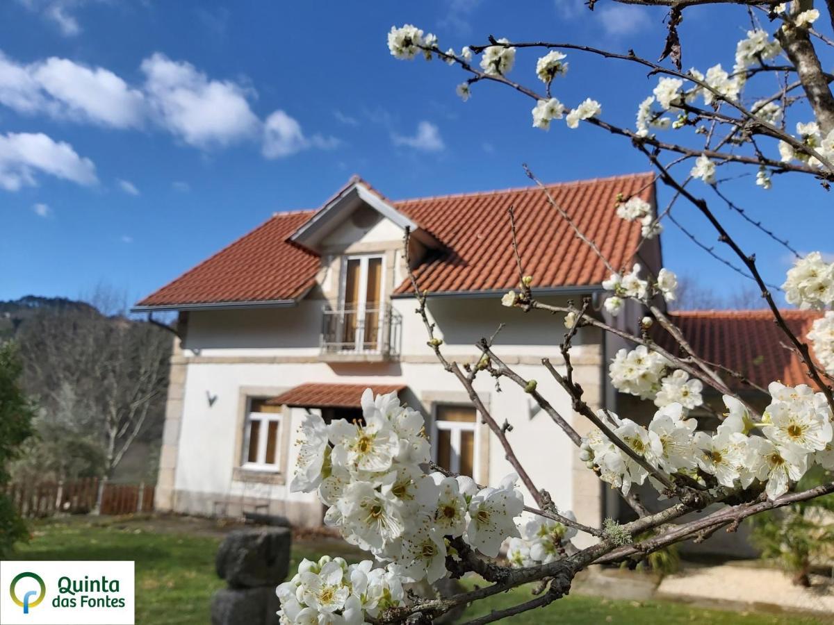 Quinta Das Fontes - Alojamento Rustico Local E Turismo Rural Сан-Педру-ду-Сул Экстерьер фото
