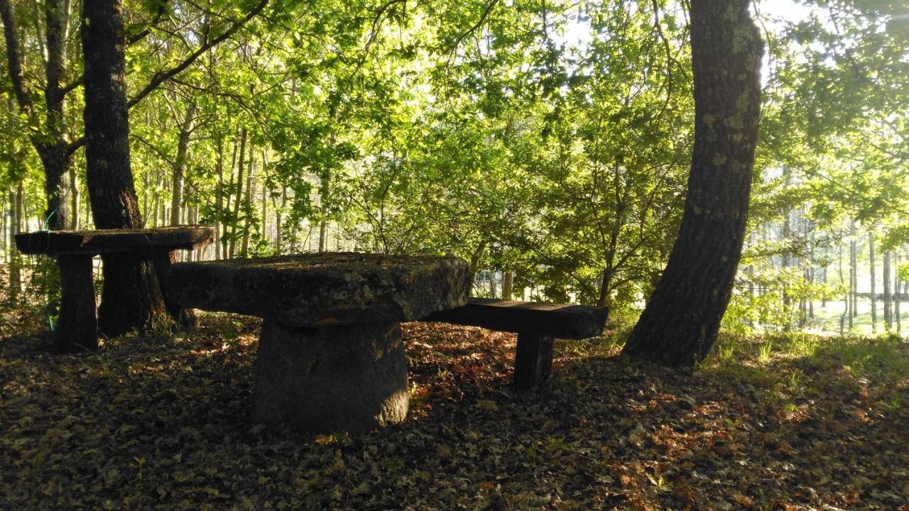 Quinta Das Fontes - Alojamento Rustico Local E Turismo Rural Сан-Педру-ду-Сул Экстерьер фото