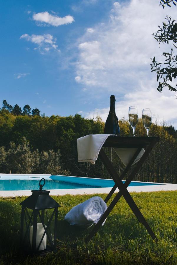 Quinta Das Fontes - Alojamento Rustico Local E Turismo Rural Сан-Педру-ду-Сул Экстерьер фото