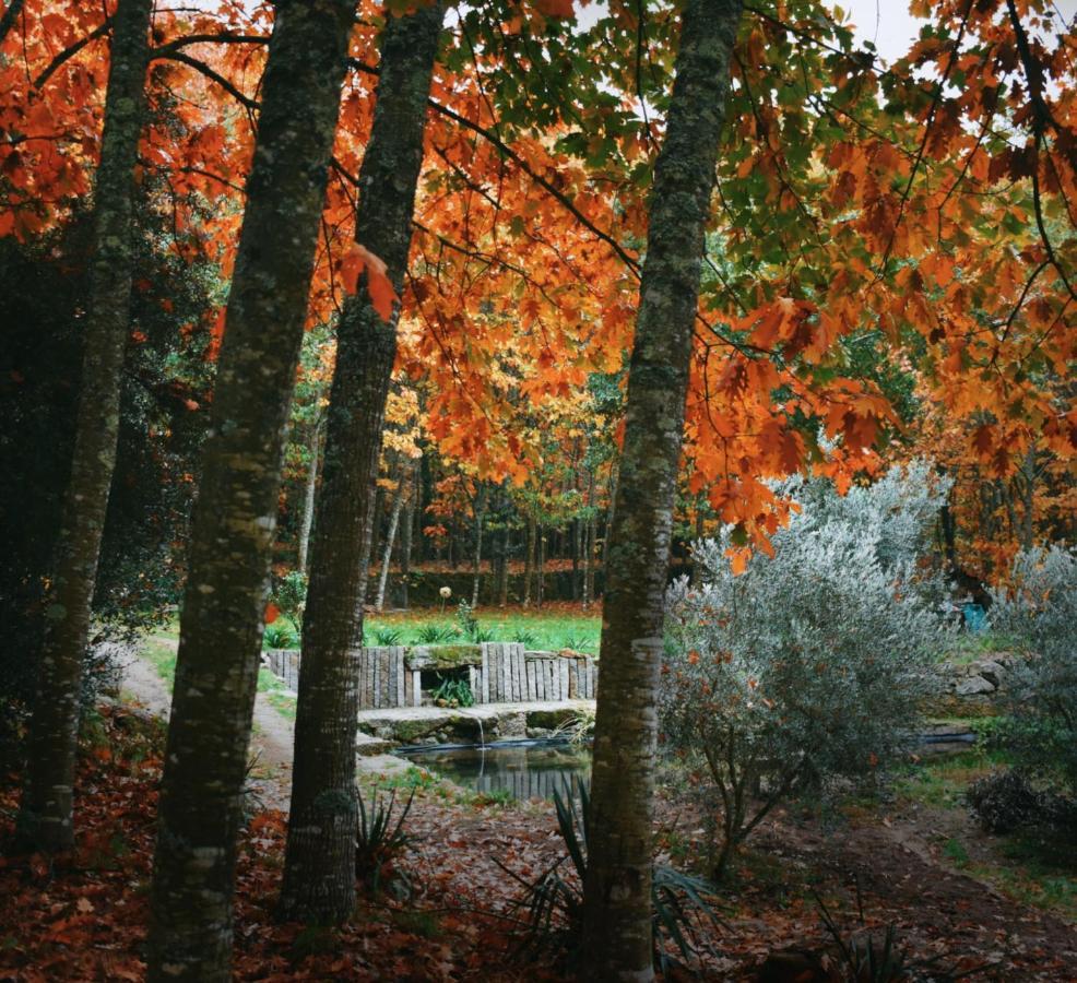 Quinta Das Fontes - Alojamento Rustico Local E Turismo Rural Сан-Педру-ду-Сул Экстерьер фото