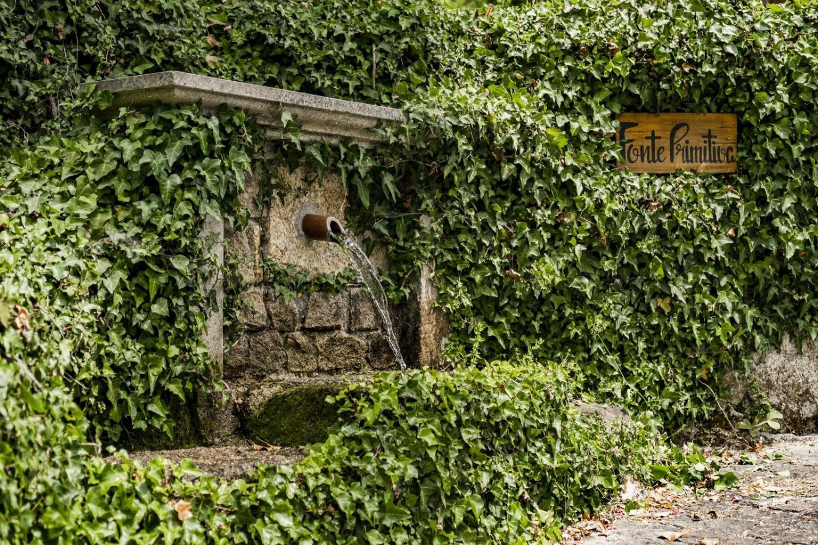 Quinta Das Fontes - Alojamento Rustico Local E Turismo Rural Сан-Педру-ду-Сул Экстерьер фото