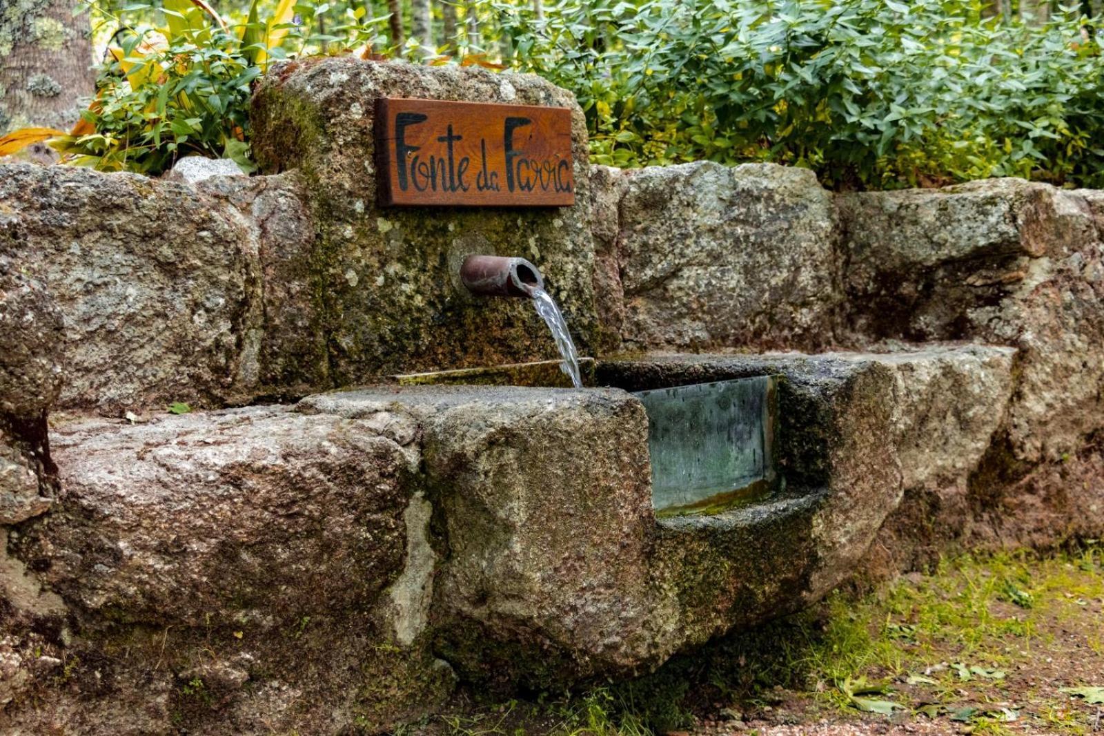 Quinta Das Fontes - Alojamento Rustico Local E Turismo Rural Сан-Педру-ду-Сул Экстерьер фото
